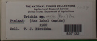 Image Associated With the Occurence